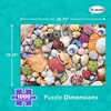 image:imageRemarks Succulents 500Piece Puzzle with Large Puzzle Pieces for All AgesSeashore