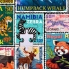 image:imageRemarks Year of the Rabbit Illustrated Puzzle 500Piece Jigsaw Puzzle for All AgesAnimal Kingdom Collage