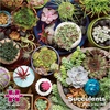 image:imageRemarks Succulents 500Piece Puzzle with Large Puzzle Pieces for All AgesSucculents